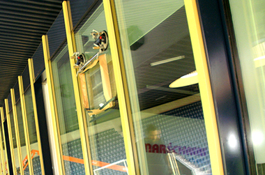 vetrox, glaskratzer entfernen, glasreparatur, verkratztes glas, glasschutz, esg, vsg, isolierglas, glasoberfläche, float, brandschutzglas